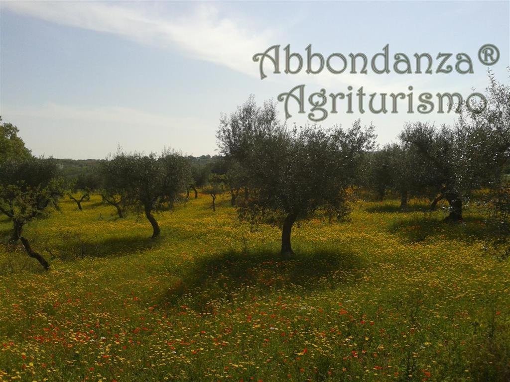 Villa Agriturismo Abbondanza Alberobello Exterior foto